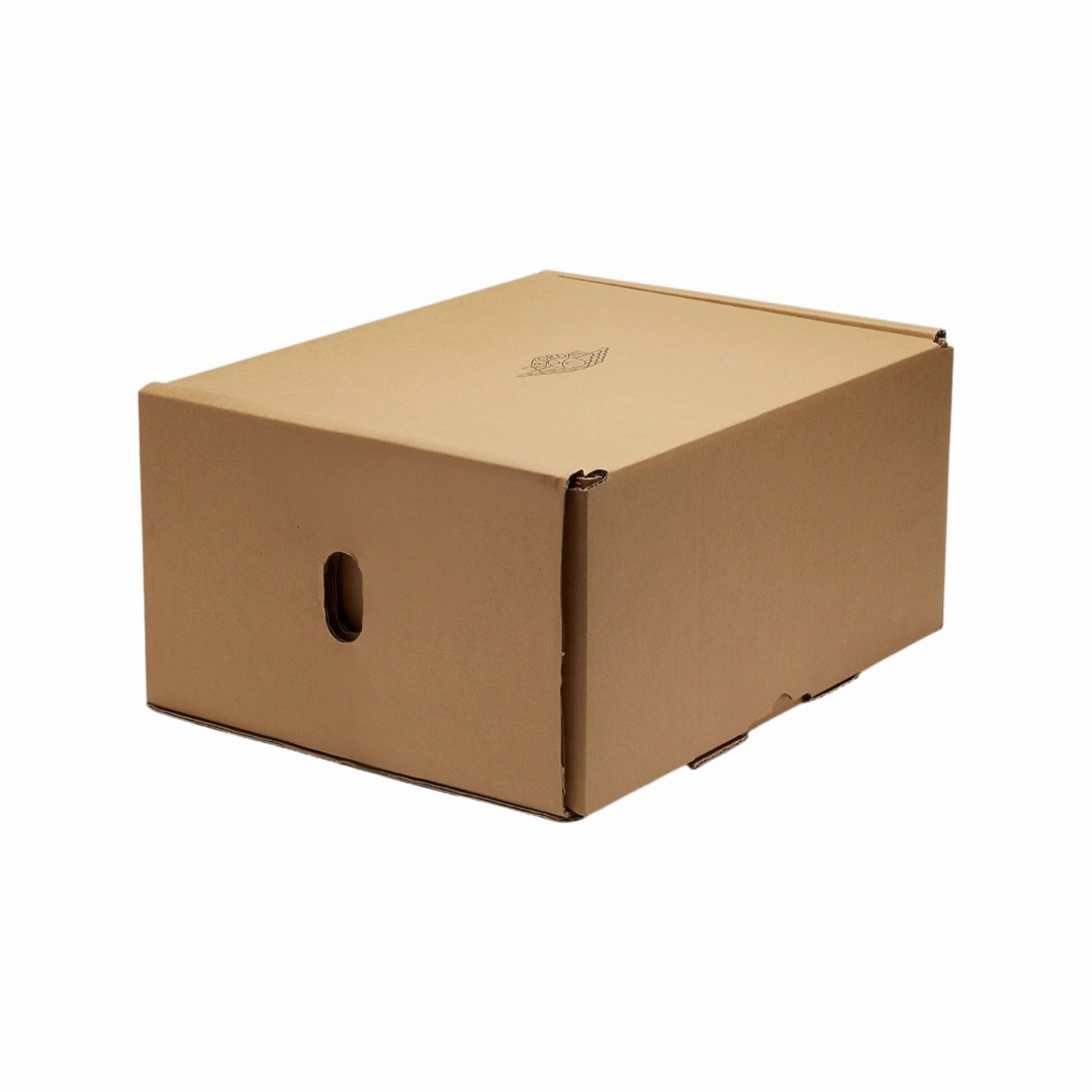 Air Jordan 1 High Retro CO JP Japan Obsidian Midnight Navy (2020) Special Edition Suitcase Box Basketball Shoes
