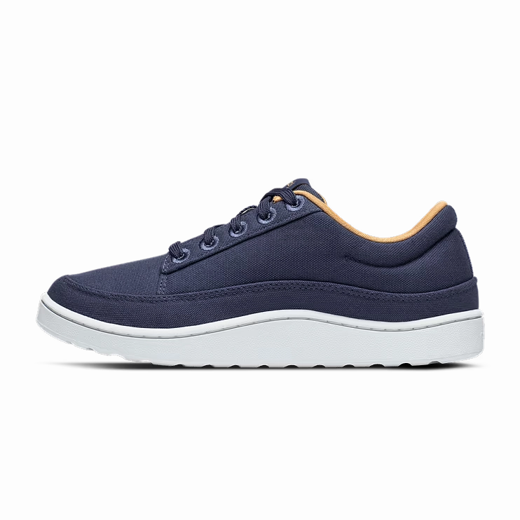 Allbirds - Canvas Pacers- Hazy Indigo (Blizzard Sole) sleek everyday shoe design