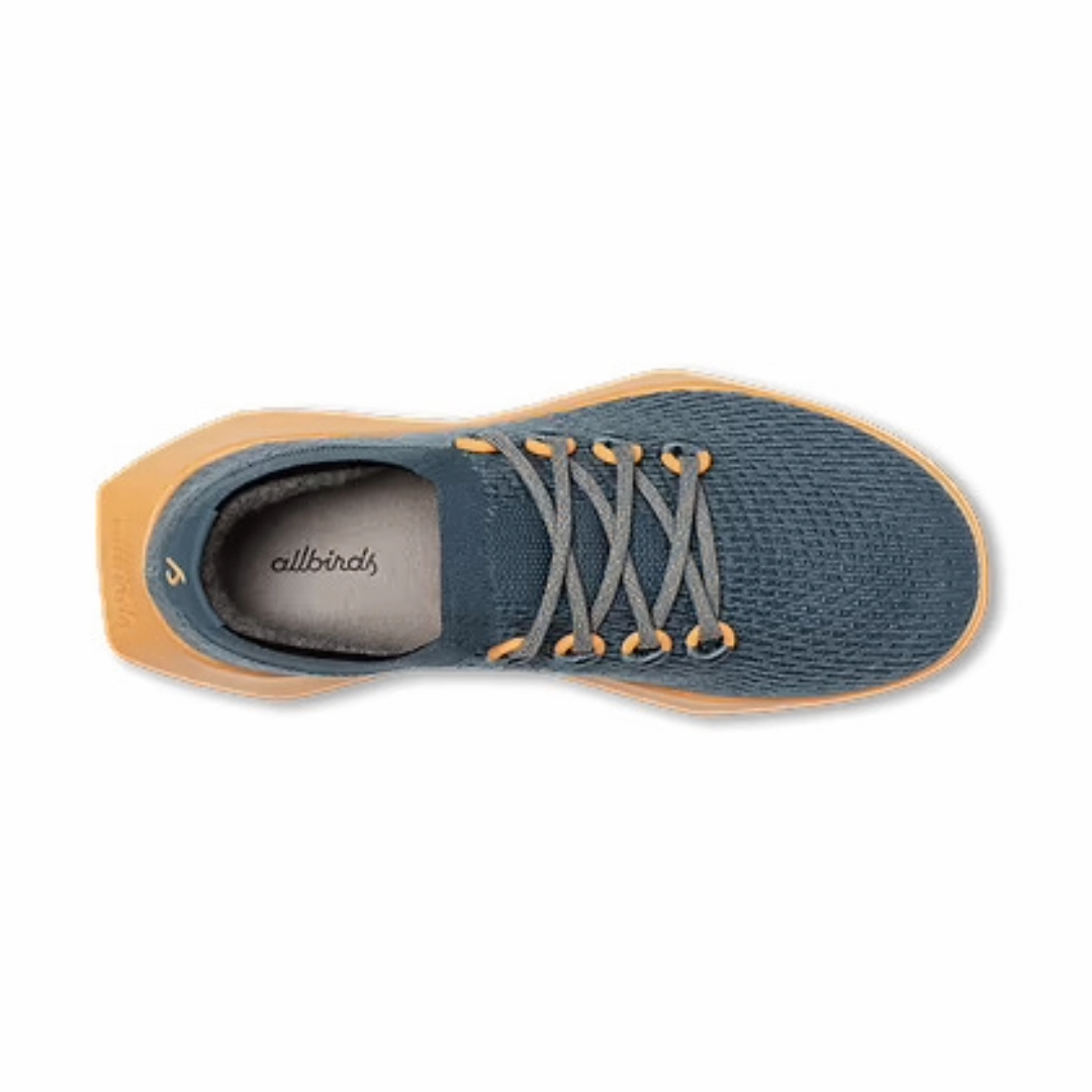 Allbirds Tree Dasher 2 - Calm Teal (Forage Tan Sole) sleek everyday shoe design