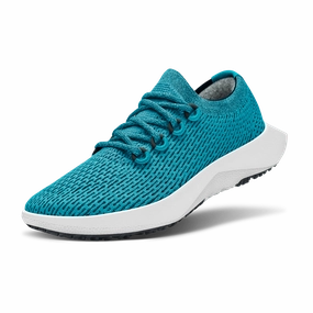 Allbirds Tree Dasher 2 - Limited Edition  -  Thrive Teal (Blizzard Sole) Allbirds casual shoe styles