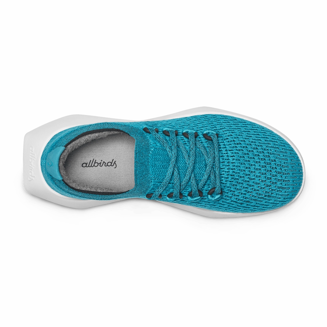 Allbirds Tree Dasher 2 - Limited Edition  -  Thrive Teal (Blizzard Sole) sleek everyday shoe design