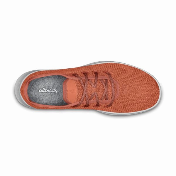 Allbirds Tree Runners - LIMITED EDITION: SUNKISSED (LIGHT GREY SOLE) sleek everyday shoe design