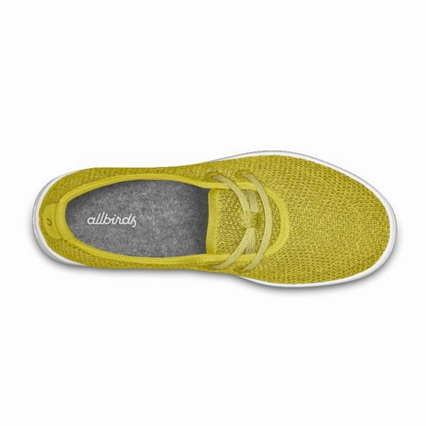 Allbirds Tree Skippers - LIMITED EDITION:Elephant Grass (White Sole) sleek everyday shoe design