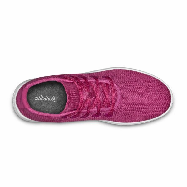 Allbirds Tree Toppers - CLASSICS: Bixia Powder (White Sole) sleek everyday shoe design