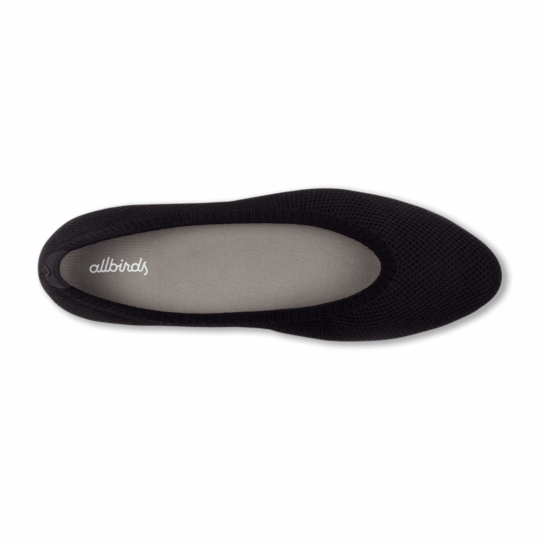 Allbirds Women's Tree Breezer Point - LIMITED EDITION: Natural Black (Natural Black Sole) sleek everyday shoe design