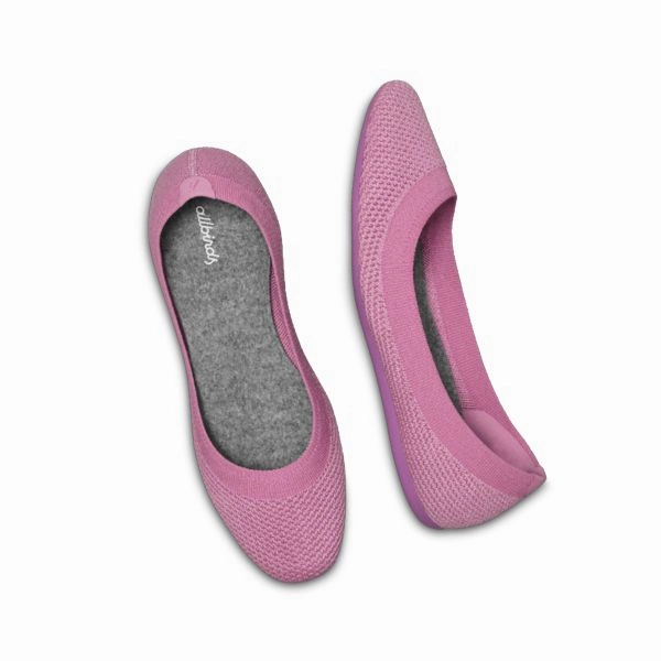 Allbirds Women's Tree Breezers - LIMITED EDITION: Star Sea Powder sleek everyday shoe design