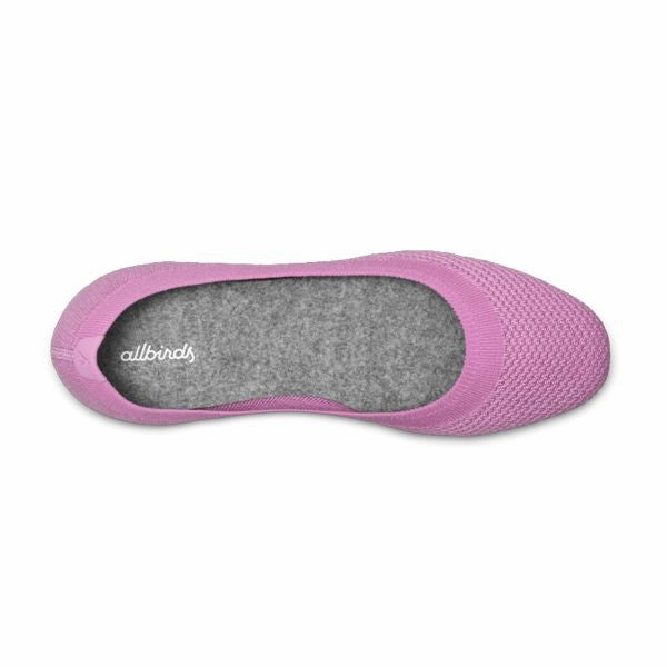 Allbirds Women's Tree Breezers - LIMITED EDITION: Star Sea Powder sleek everyday shoe design