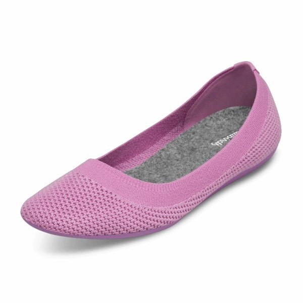 Allbirds Women's Tree Breezers - LIMITED EDITION: Star Sea Powder sleek everyday shoe design