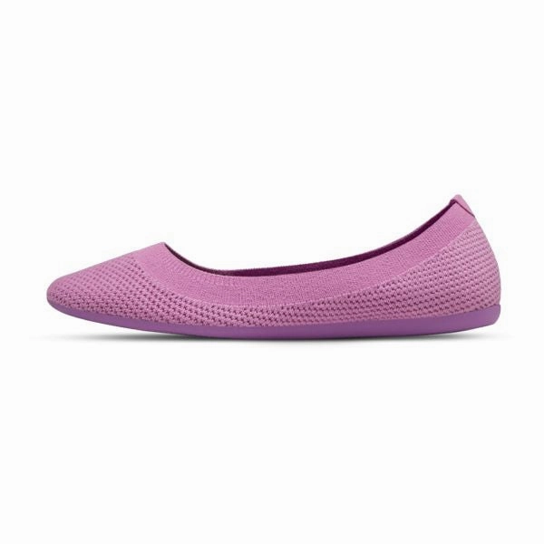 Allbirds Women's Tree Breezers - LIMITED EDITION: Star Sea Powder Allbirds casual shoe styles