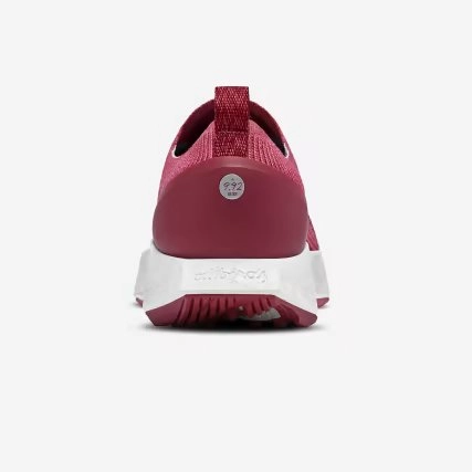 Allbirds Women's Tree Flyers - Lux Pink (Blizzard Sole) EX sleek everyday shoe design