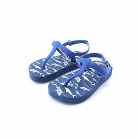 AMERICAN BRAND . American classic shoe designs