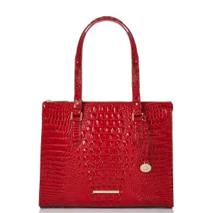Anywhere Tote Bags Brahmin Totes Carryalls