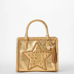 Cami Bags Brahmin Satchels