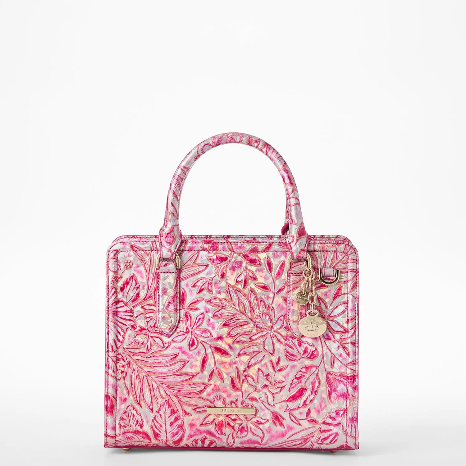 Cami Bags Brahmin Satchels