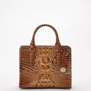 Cami Bags Brahmin Satchels
