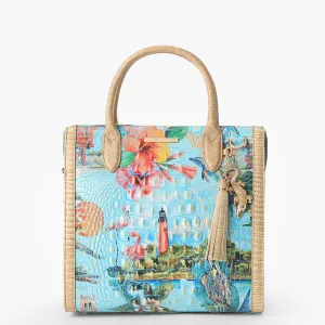 Caroline Bags Brahmin Satchels