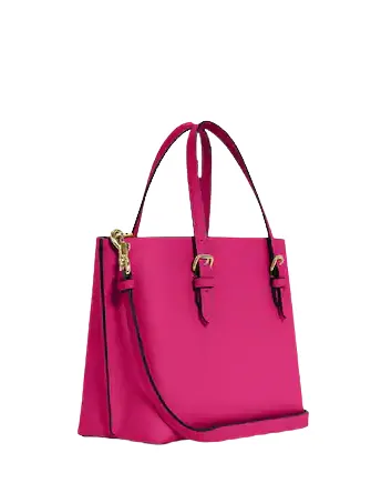 Coach Mollie Tote 25 Coach Bags