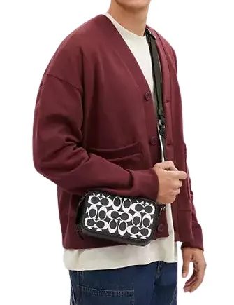 Coach Wyatt Crossbody In Signature Canvas Coach Bags
