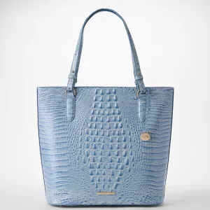 Ezra Bags Brahmin Totes Carryalls