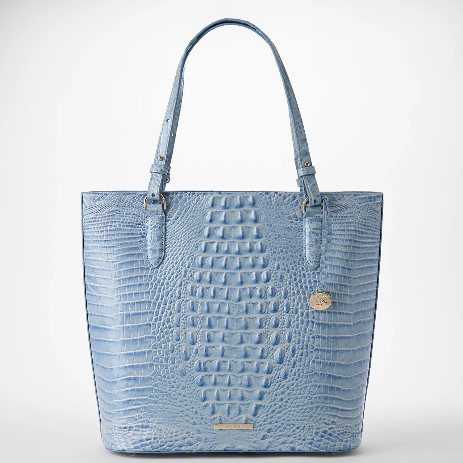 Ezra Bags Brahmin Totes Carryalls