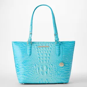 Medium Asher Bags Brahmin Travel Bags