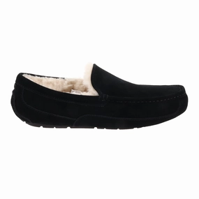 Men's Ascot Ugg shoe designs