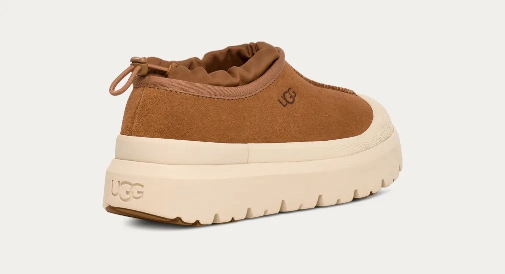 Men's Tasman Weather Hybrid Cozy Shearling Shoes