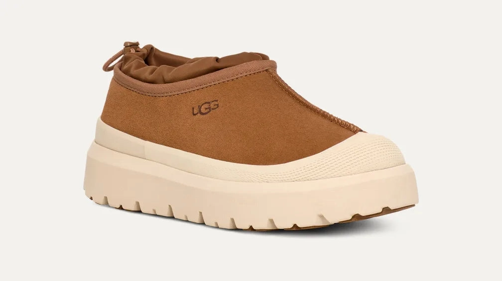 Men's Tasman Weather Hybrid Cozy Shearling Shoes