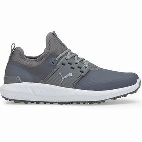 Puma IGNITE ARTICULATE Waterproof Spiked Shoes - Quiet Shade/Silver Puma golf footwear options