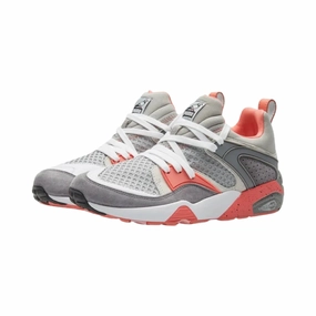 Puma Staple x Blaze of Glory OG Pigeon Air Jordan basketball shoes with classic look