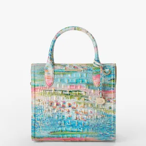 Small Caroline Bags Brahmin Satchels