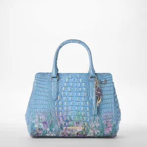 Small Finley Bags Brahmin Satchels