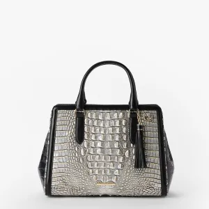 Small Finley Bags Brahmin Satchels