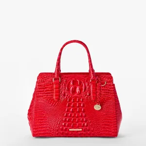 Small Finley Bags Brahmin Satchels