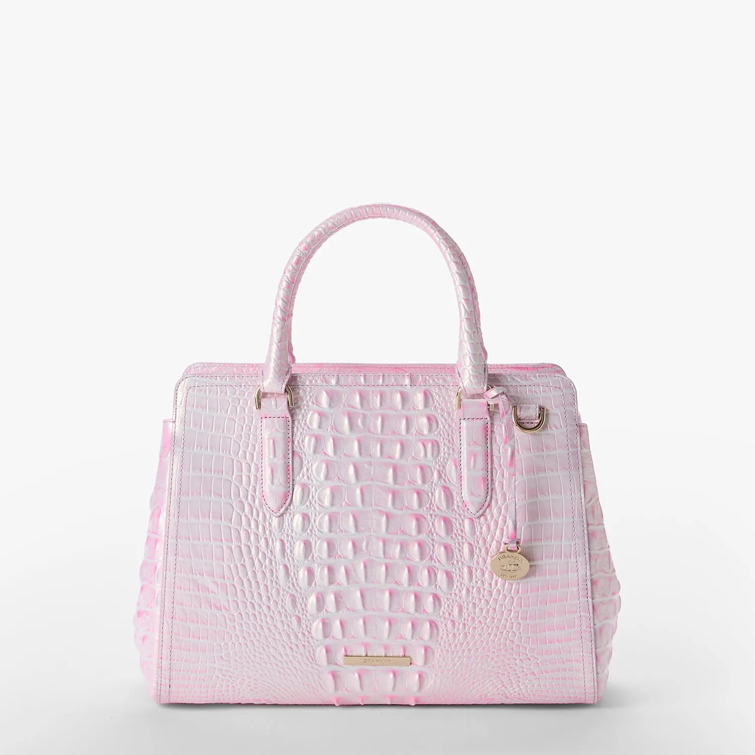 Small Finley Bags Brahmin Totes Carryalls