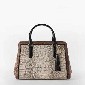 Small Finley Bags Brahmin Totes Carryalls