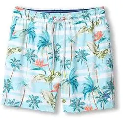Tommy Bahama Men's 6-Inch Naples Palmero Stripe Swim Trunks - Spring Sky Tommy Bahama Clothing