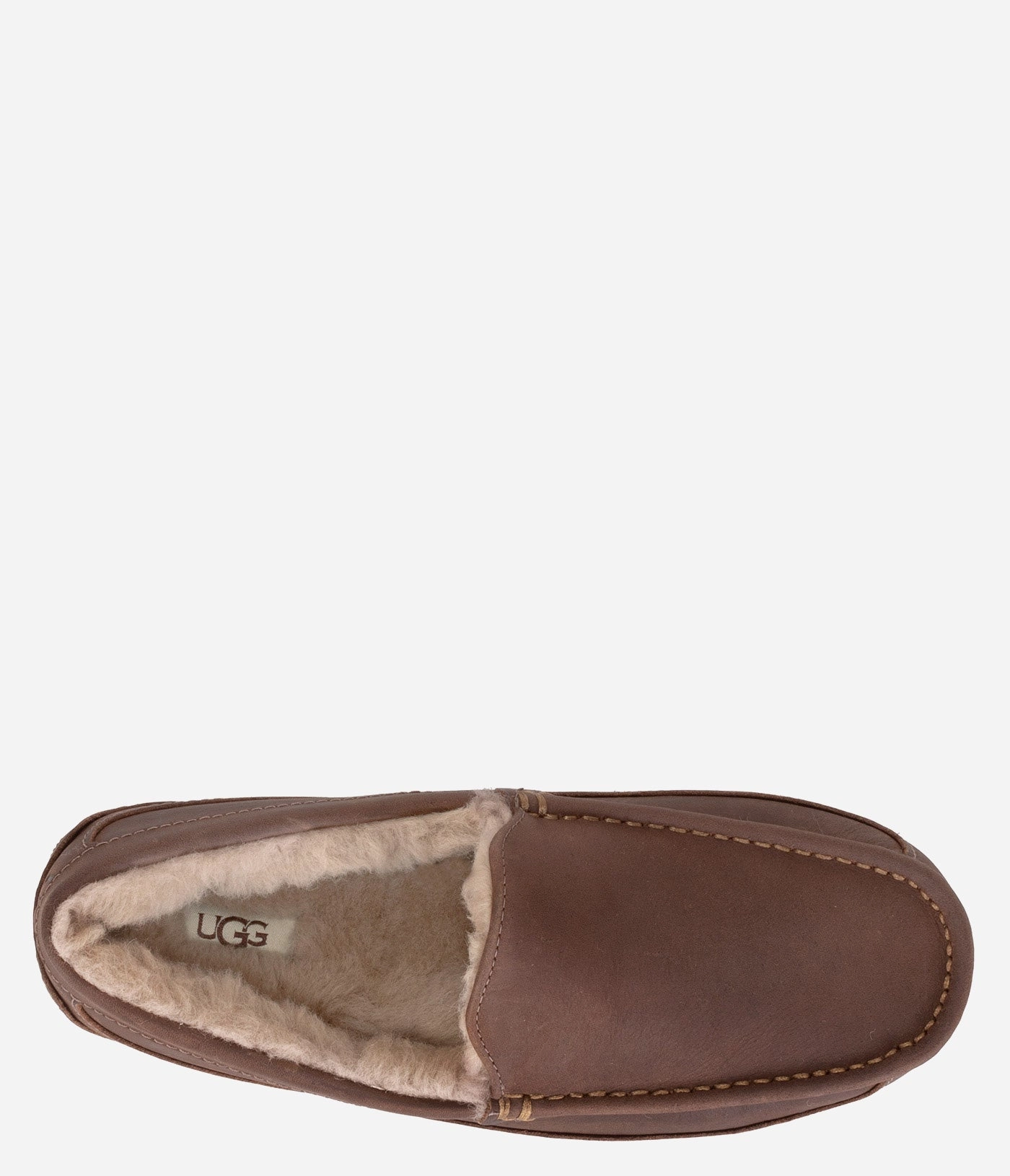 UGG Ascot Matte Leather Slipper - Men Mens Winter Slip-Ons