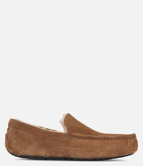 UGG Ascot Slipper - Men Ugg men's footwear styles