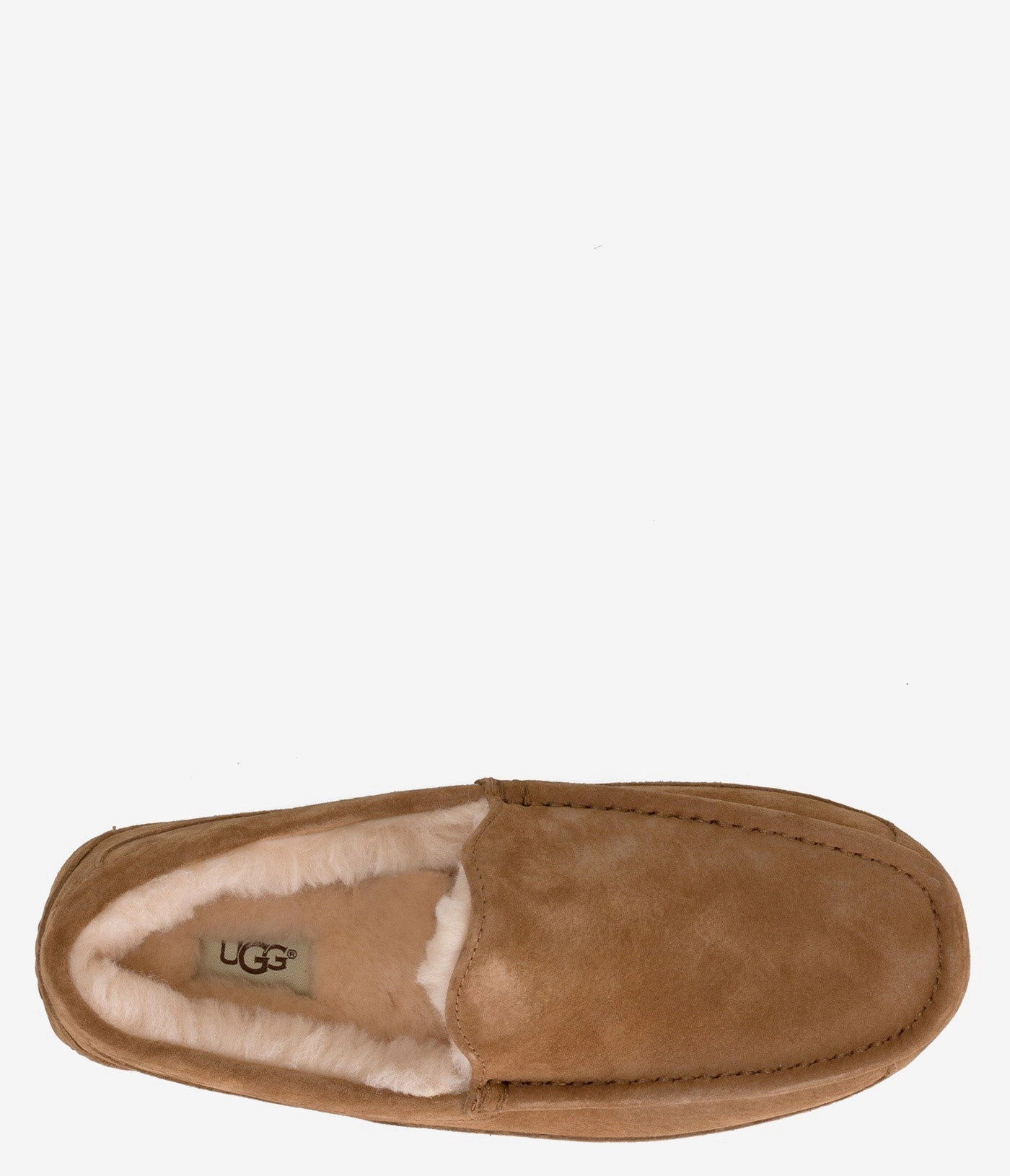 UGG Ascot Slipper - Men Mens Winter Slip-Ons