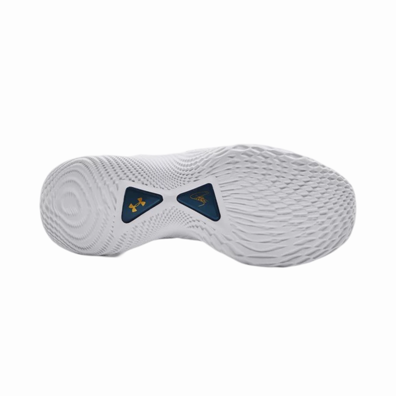 Under Armour  Curry Flow 9 3PT "Blue" Basketball Shoes