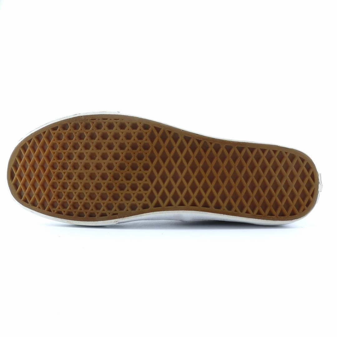 VANS AUTHENTIC Vans skate shoe imagery