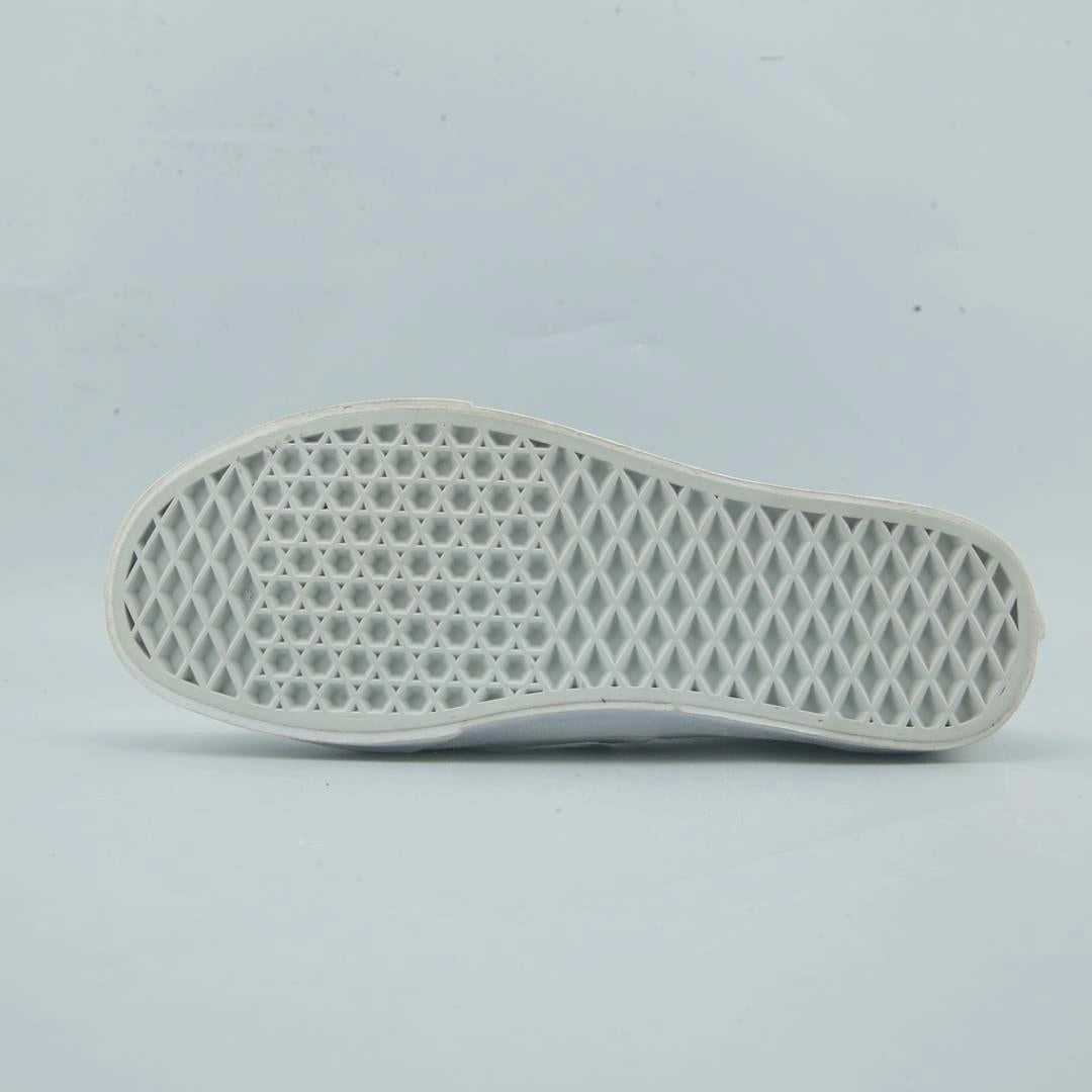 VANS AUTHENTIC Vans skate shoe imagery