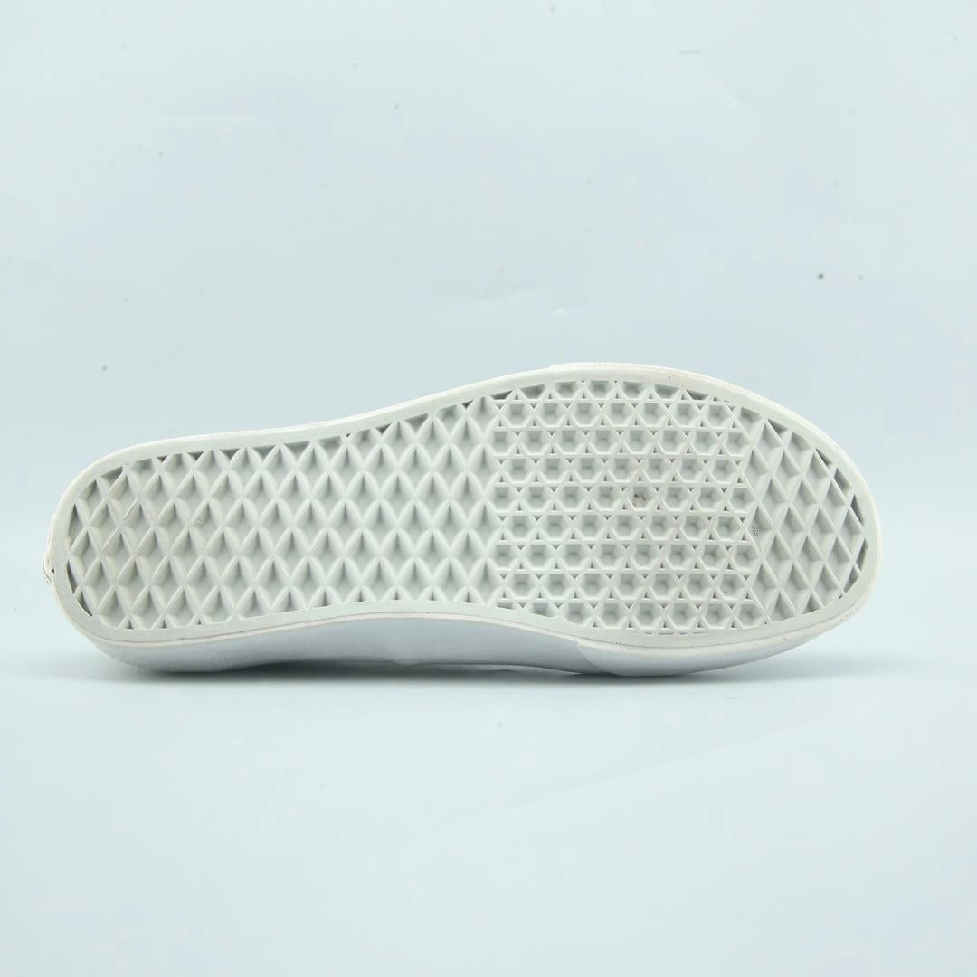 VANS AUTHENTIC Vans skate shoe imagery