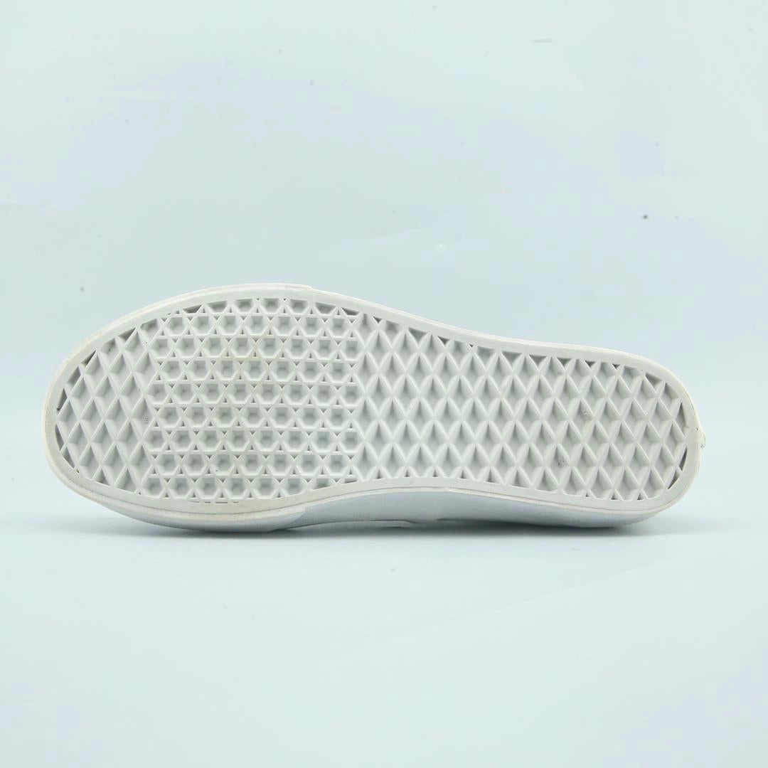 VANS AUTHENTIC Vans skate shoe imagery