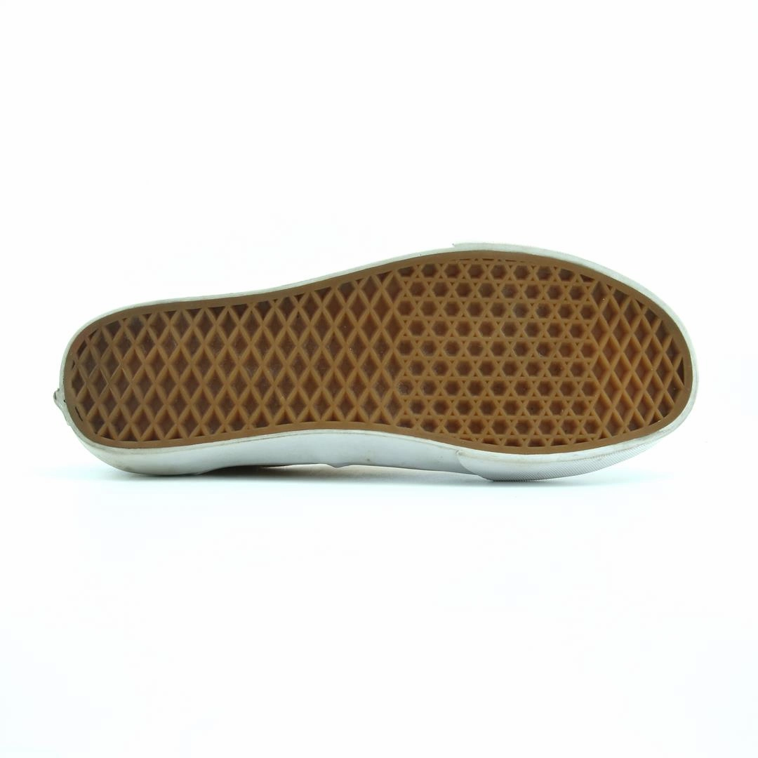VANS AUTHENTIC Vans skate shoe imagery