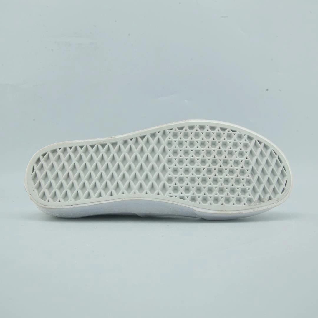 VANS AUTHENTIC Vans skate shoe imagery